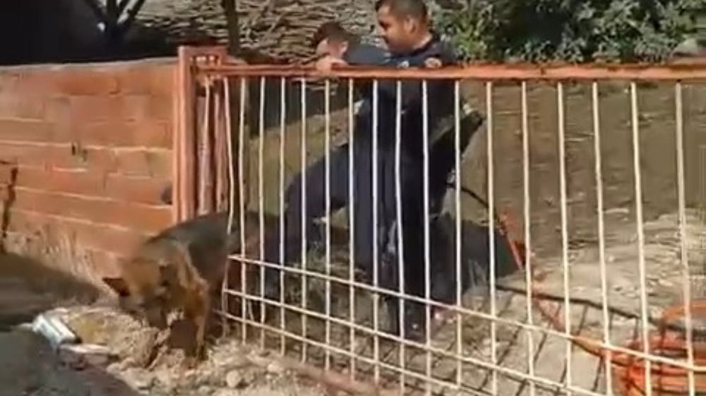 Sıkışan köpeğin imdadına itfaiye ekipleri yetişti.