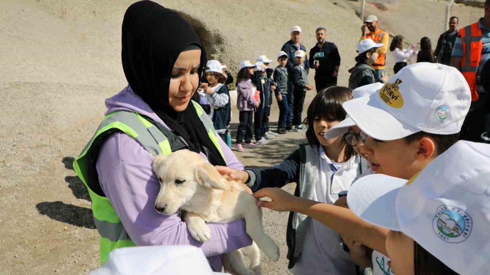 Talas Pati Evinde minik öğrenciler hayvanlarla bir araya geldiler