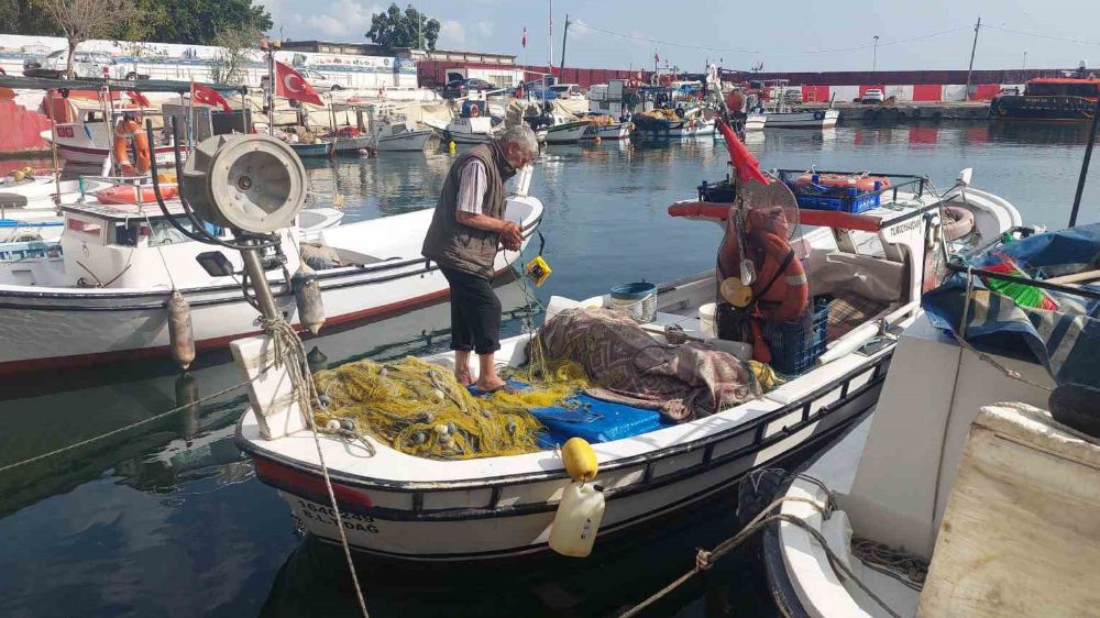 Vatandaşlara müjde: Balıkçılar, vatandaşları hamsiye doyuracaklarını söyledi.