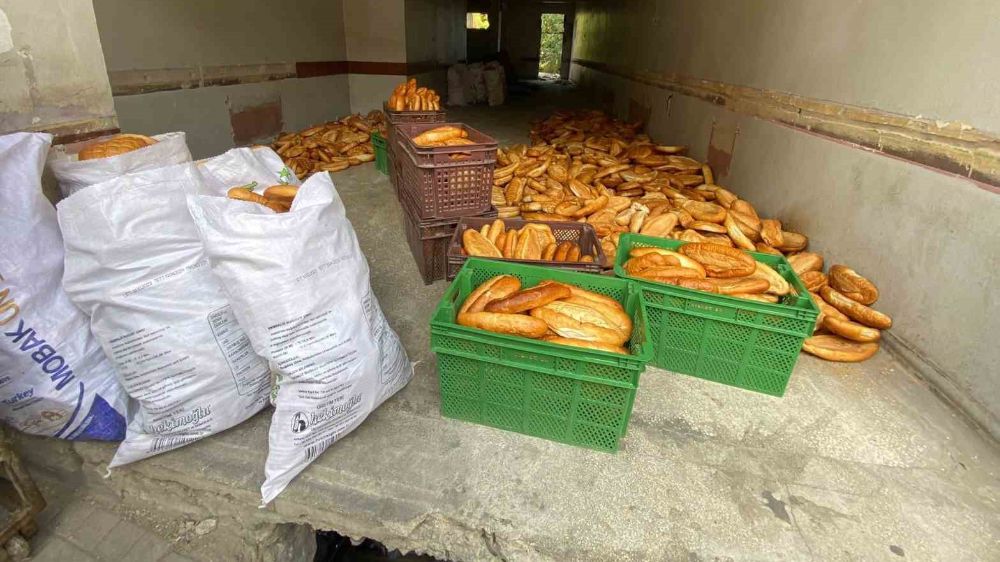 Yüzlerce ekmek atıldığı bina da incelemeler başladı 