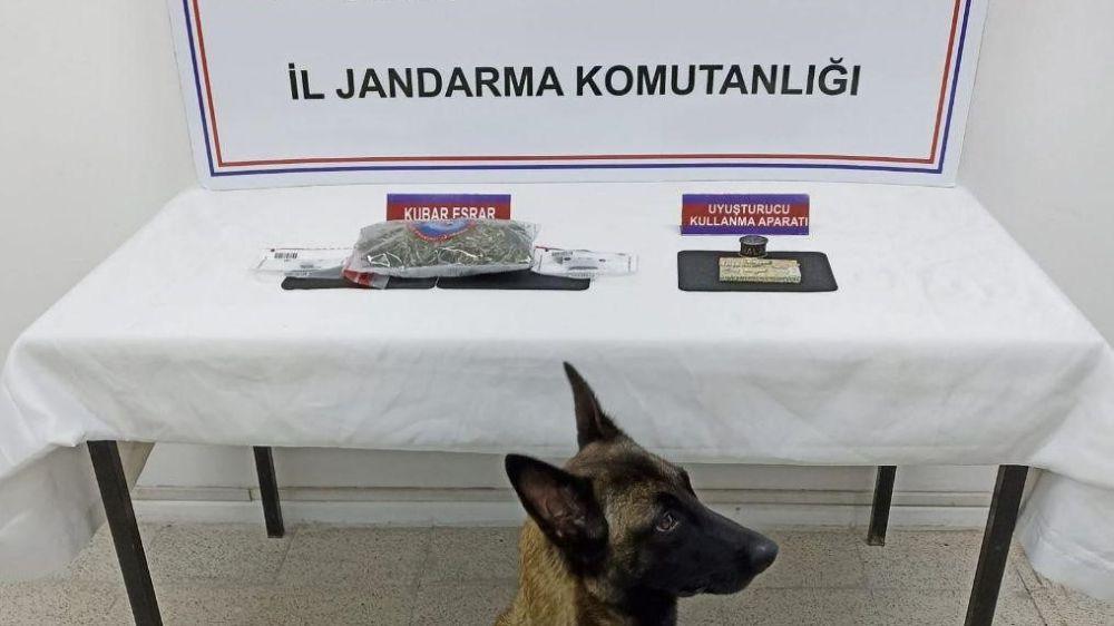 Zonguldak'ta uyuşturucu operasyonu 
