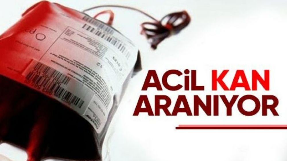 Acil trombosit kan aranıyor! İşte detaylar...