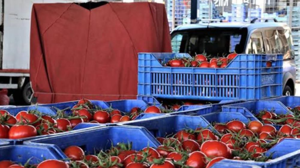 Antalya'da sebze miktarı artarken domates miktarı azaldı 