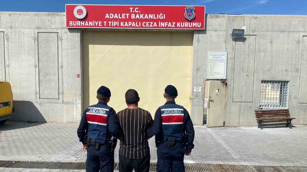 Balıkesir'de zeytin çalarken jandarmaya yakalanan hırsız tutuklandı