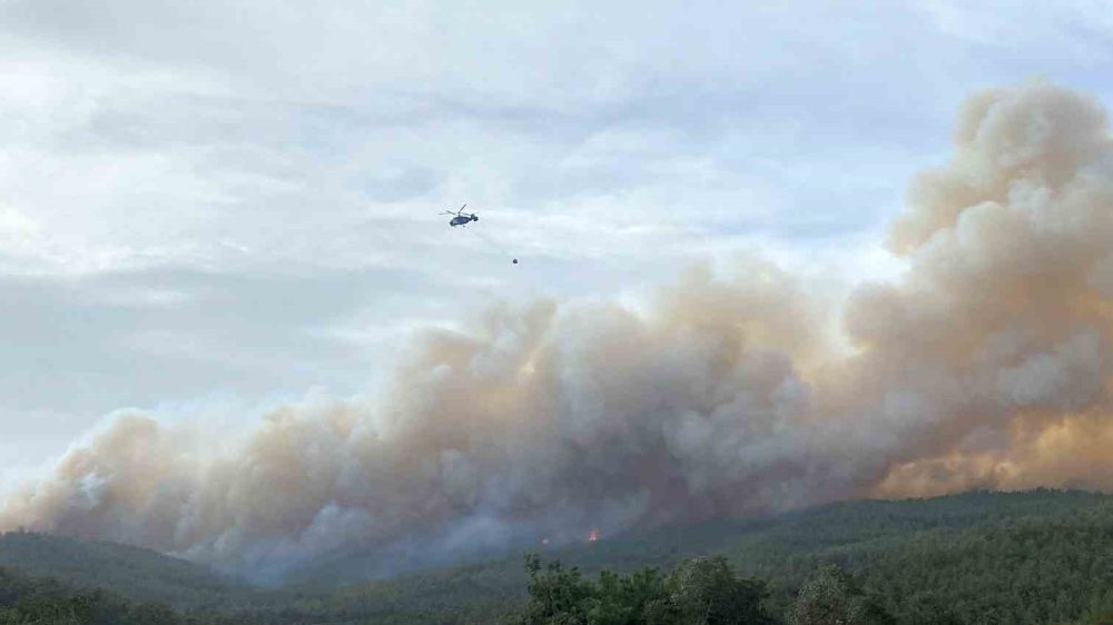Çanakkale’deki ormanda yangın çıktı 