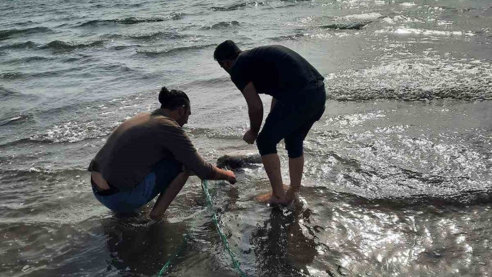 Deniz kaplumbağası ağa takıldı ekipler kurtardı