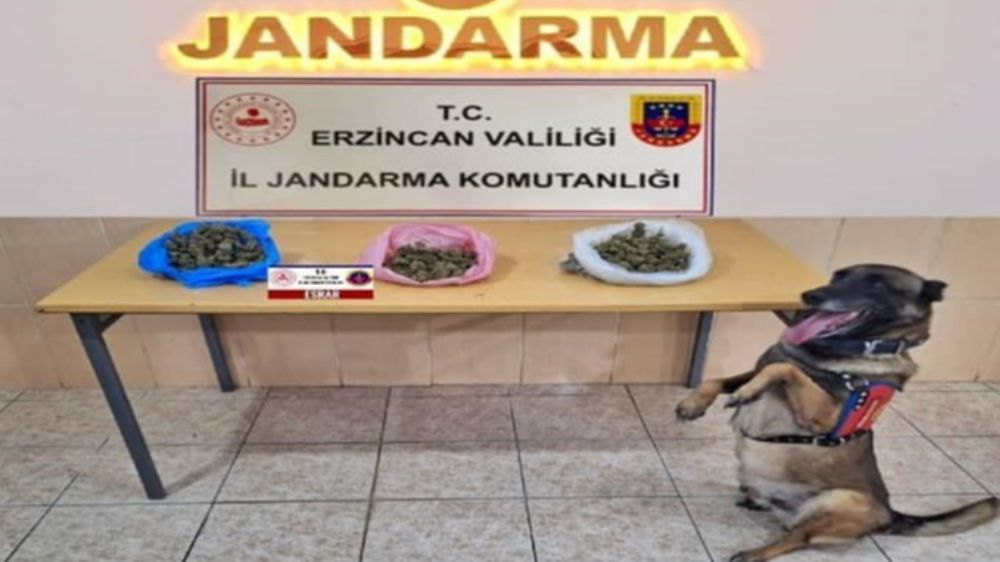 Erzincan'da jandarmadan ekim ayında operasyon