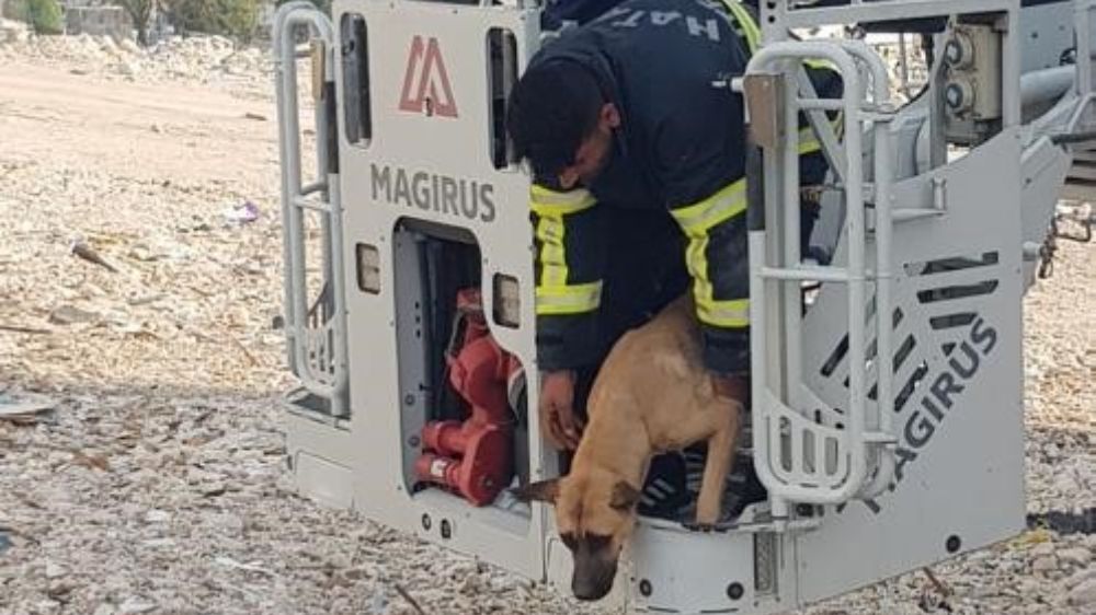 Hatay Antakya'da hasarlı binada mahsur kalan köpek kurtarıldı