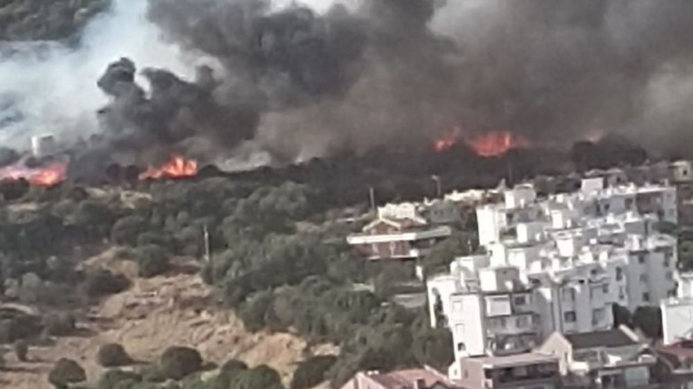 İzmir'de yangın korkuttu