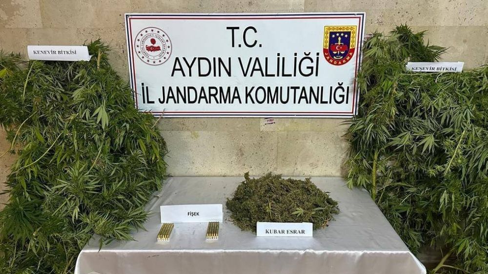 Jandarmadan uyuşturucu operasyonu