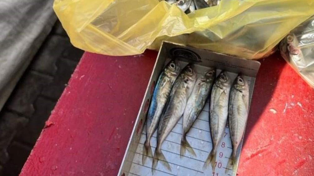 Kırklareli'nde Balıkçılara boy cezası