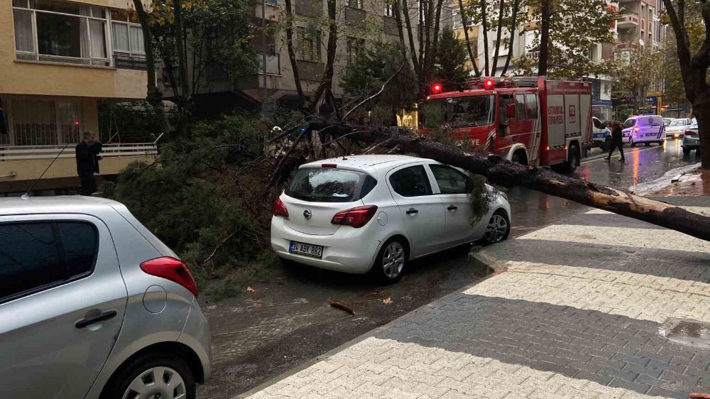 Maltepe’de ağaç otomobilin üstüne düştü