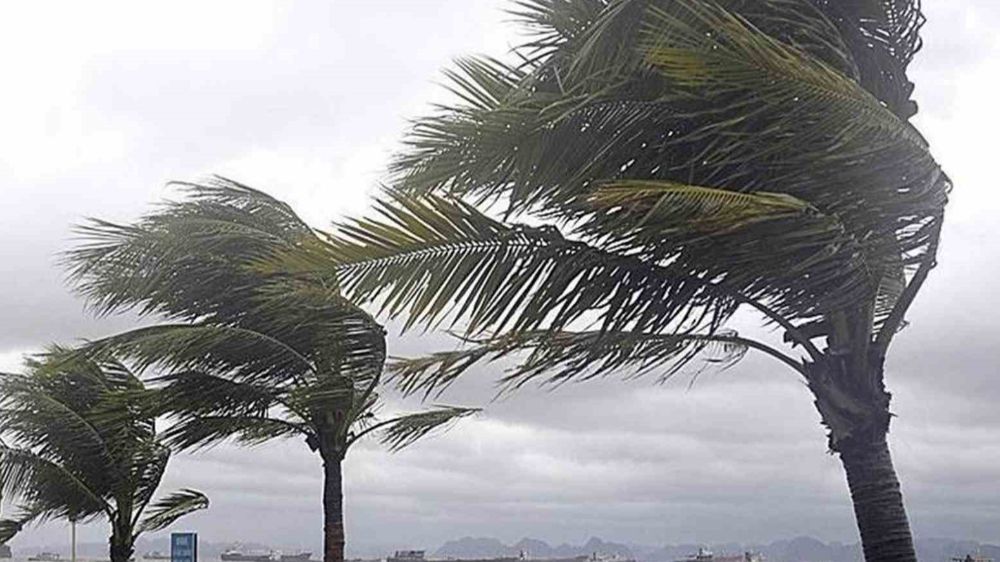 Meteorolojiden uyarı gecikmedi; Muğla'da fırtına uyarısı 