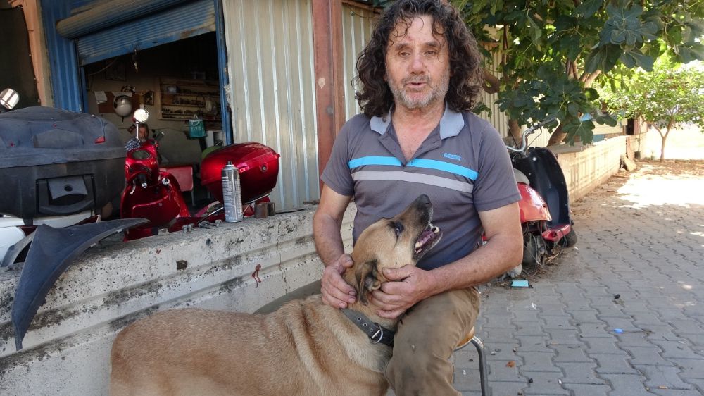 Motosiklet tamircisi, veterinerin 'Uyutalım' dediği gözleri görmeyen köpeğe göz oldu