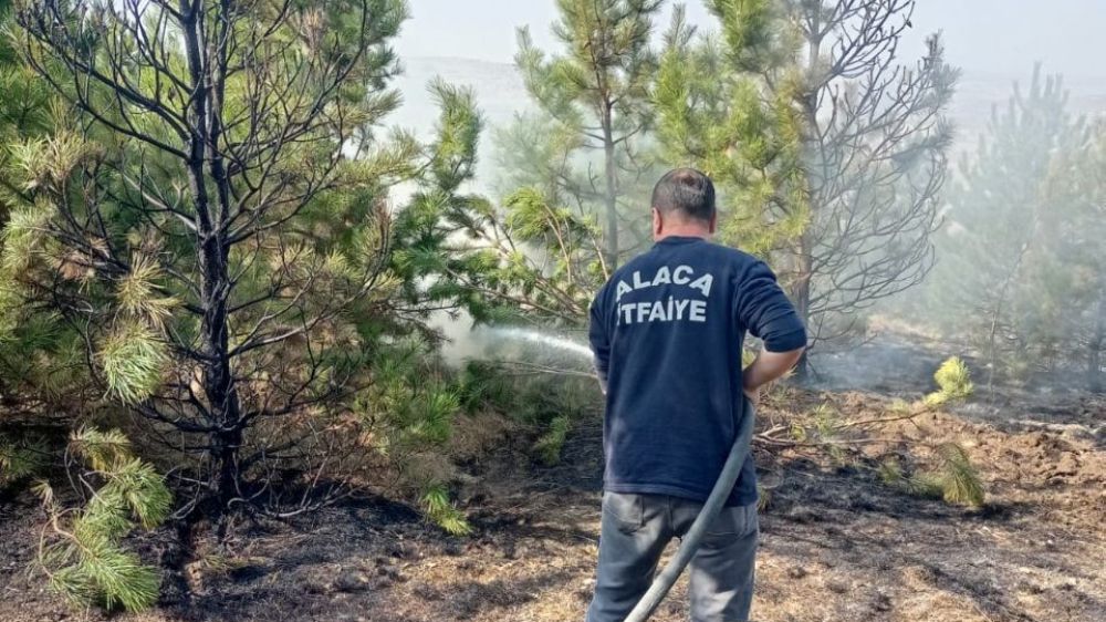 Ormana sıçrayan anız yangınına ekipler müdahale etti