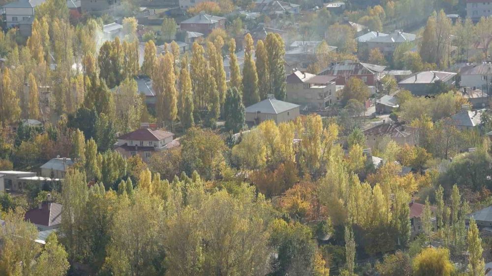 Van’ın Erciş ilçesinde sonbaharda ağaçlar ve doğa rengarenk oldu.