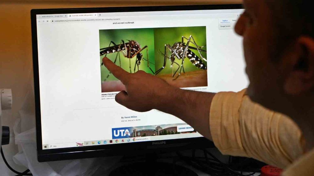 Vatandaşların dikkatine; Böcek profesöründen ’sivrisinek’ uyarısı 