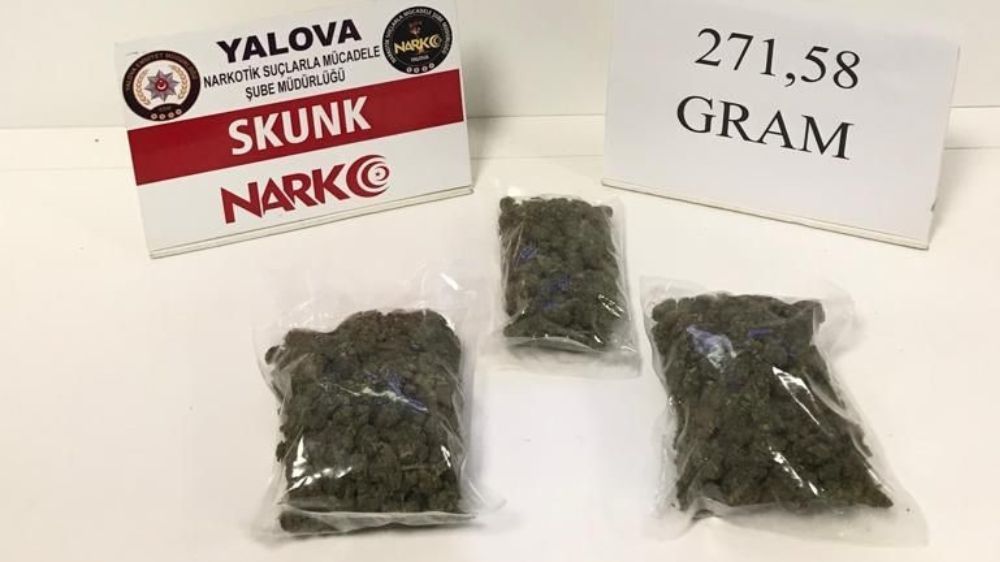 Yalova’da  düzenlenen uyuşturucu operasyonunda 2 şahıs gözaltın alındı