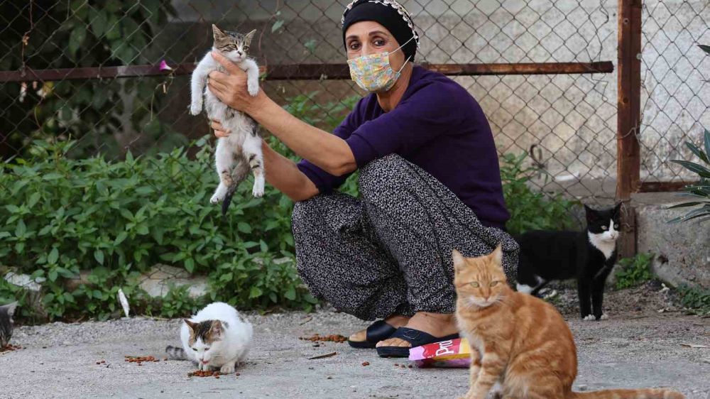 57 yaşındaki kanser hastası, kendisini sokak hayvanlarına adadı
