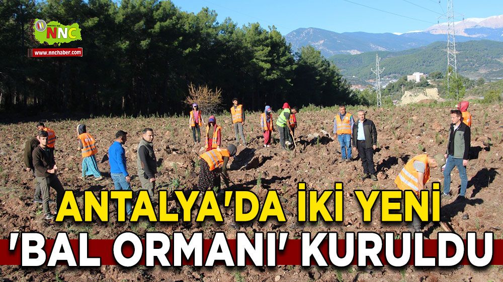 Antalya'da İki Yeni 'Bal Ormanı' Kuruldu