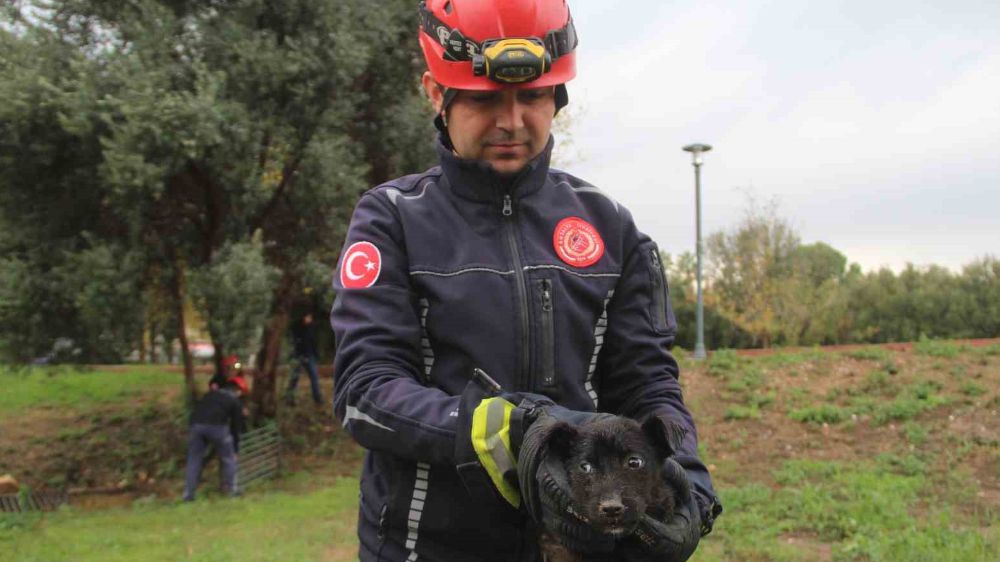 Antalya'da itfaiyeciden yavru köpeği korkusuzca kurtardı