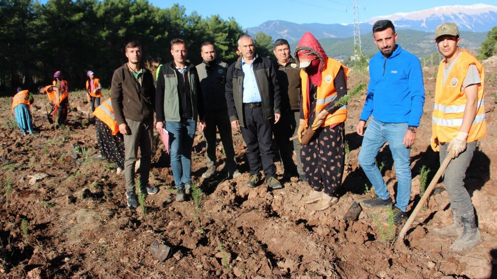 Antalya Kumluca'da Biyolojik Çeşitliliği Desteklemek İçin Kurulan 2. Bal Ormanı