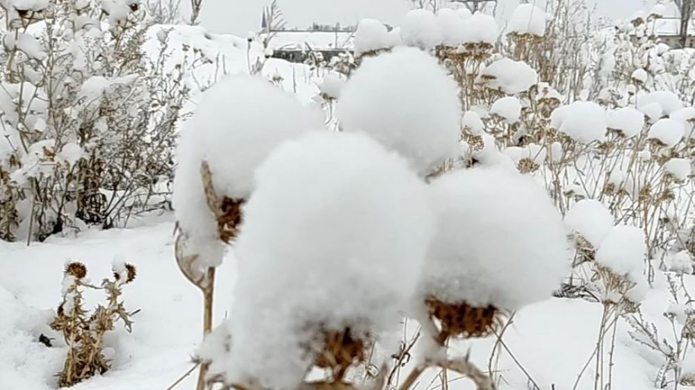 Ardahan'da etkili olan kar yağışı merkezi beyaza boyadı