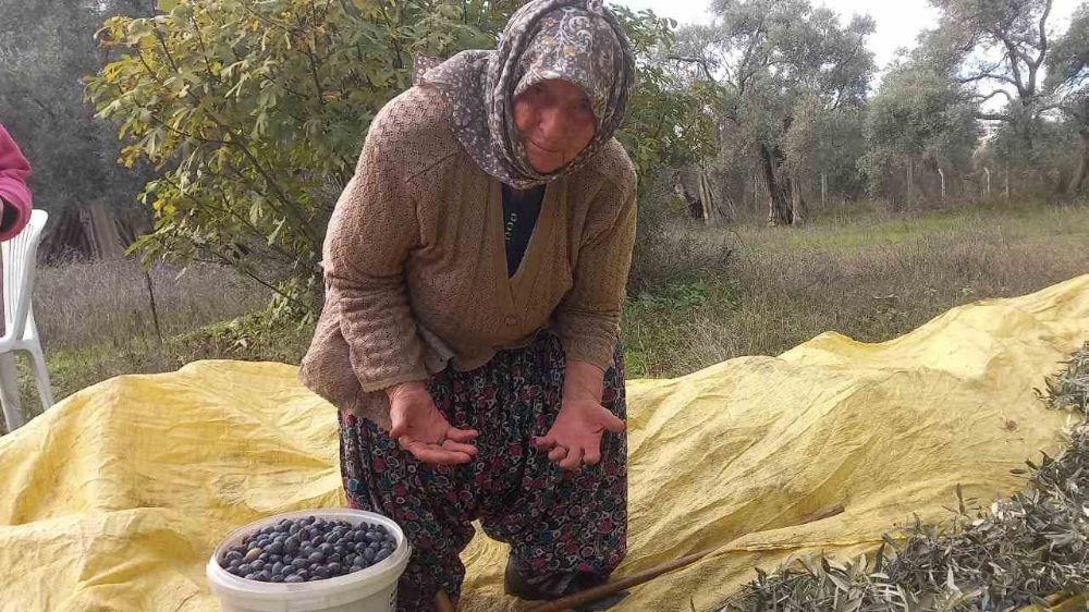 Aydın'da 87 Yaşındaki Nine Tarla-Bahçe İşlerinden Kopmuyor