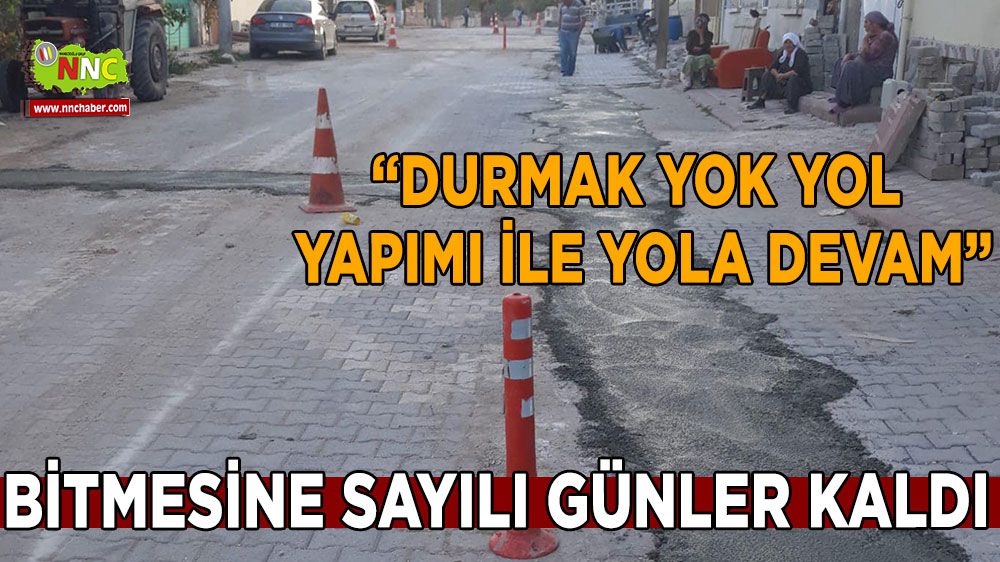 Başkan Selimoğlu; '' Durmak yok yol yapımı ile yola devam''