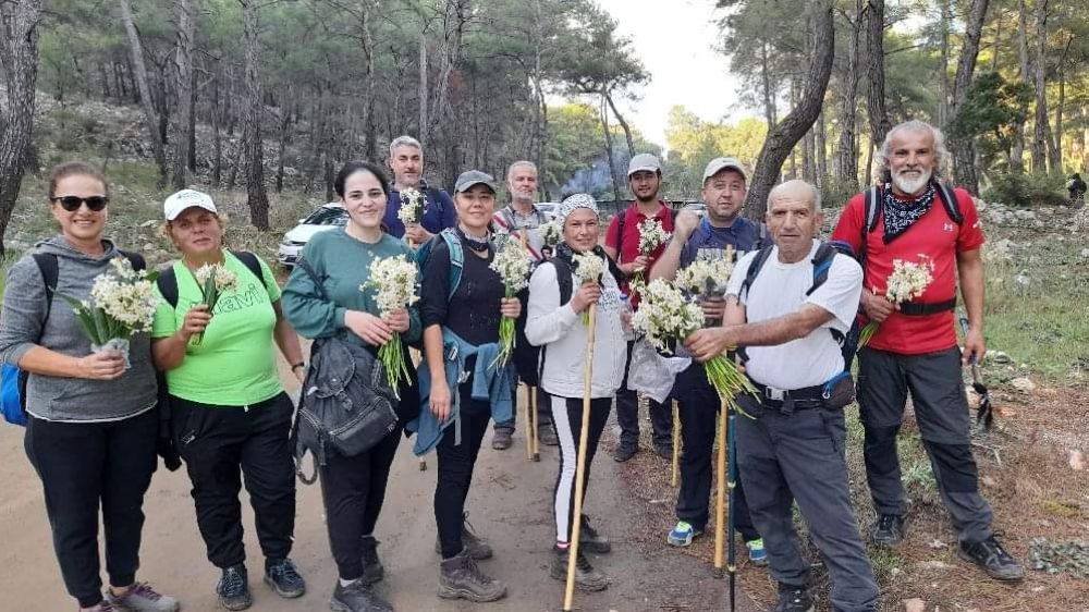 Bu Nergisler Yerli Ve Yabancı  Turistlerin ilgi odağı 