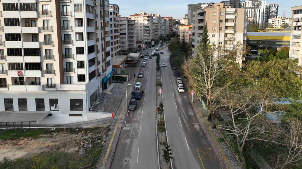 Bursa’da caddeler manolya ağaçları ile süslendi