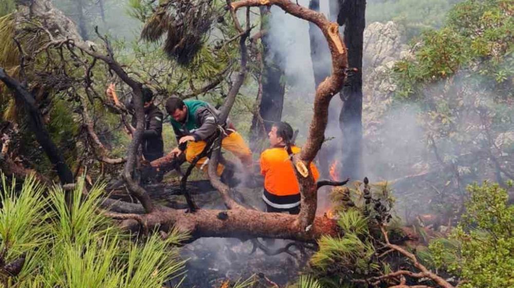 Datça'da Yıldırım Kaynaklı Orman Yangını Kontrol Altında