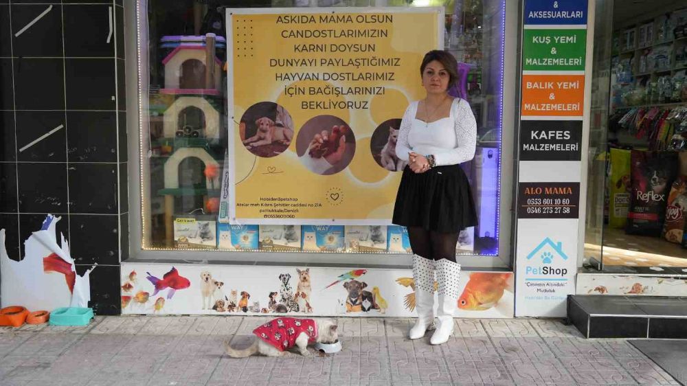 Denizli'de Hayvansever Esnaf, 'Askıda Mama' Kampanyası Başlattı
