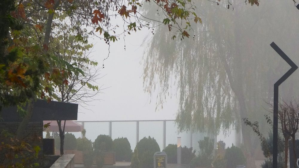 Diyarbakır güne yoğun sis ile başladı 