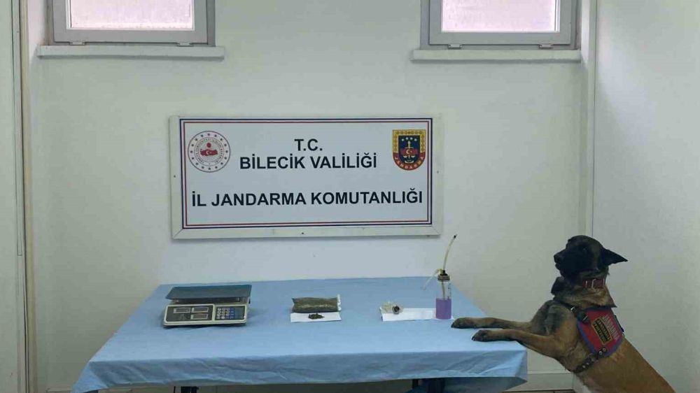 Jandarmadan uyuşturucu operasyonu: 1 gözaltı