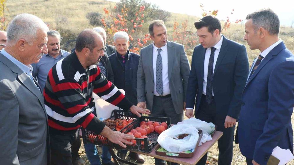 Keban’da Trabzon Hurması hasat etkinliği yapıldı 