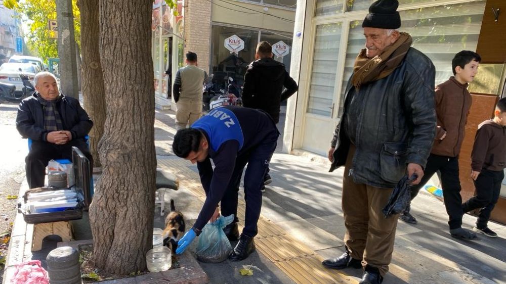 Kilis belediyesi sokak hayvanlarını yalnız bırakmıyor