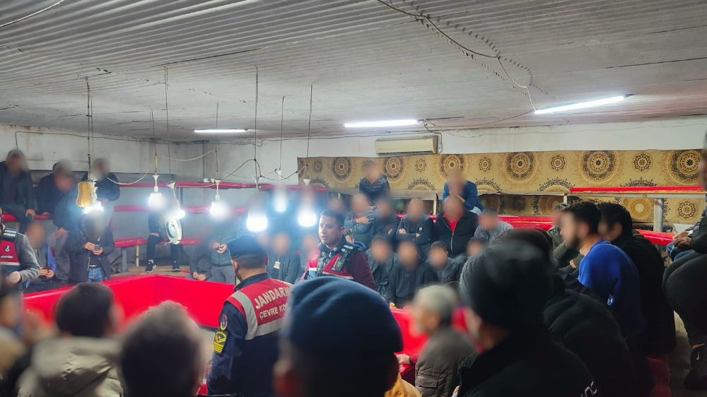 Antalya'da Jandarmadan horoz dövüşü baskını