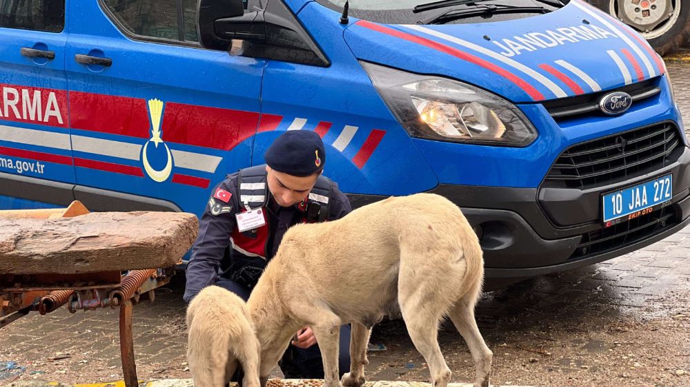 Balıkesir'de Jandarma ekipleri sokak hayvanlarının yanında
