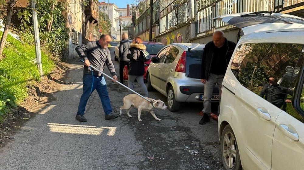 Cihangir’de bir şahıs tartıştığı kişinin üzerine Pitbull köpeğini saldırttı