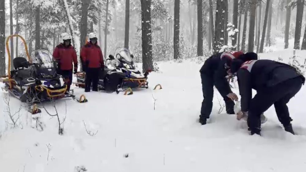 Jandarma ekipleri çetin geçen kış şartlarında yaban hayvanlarını unutmadı