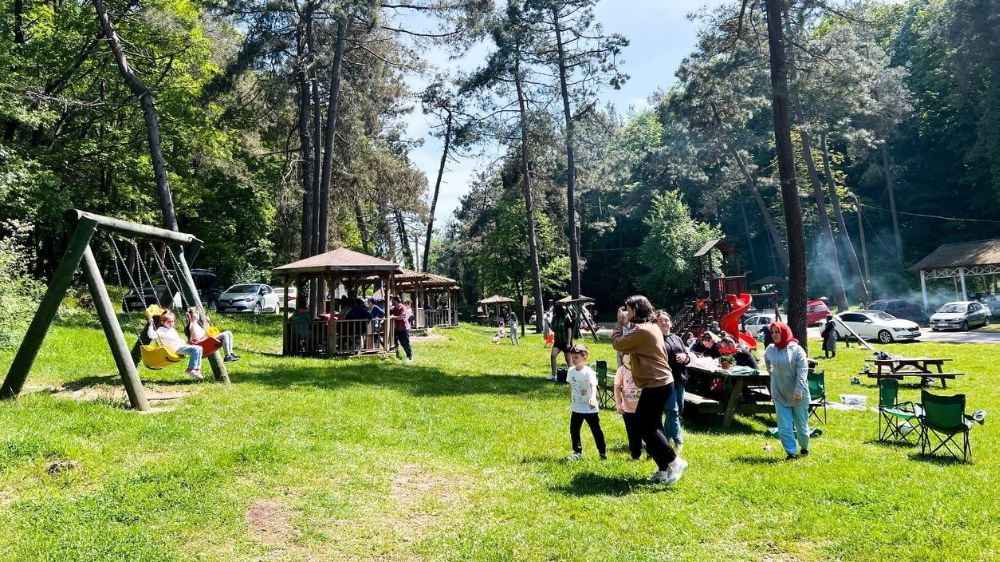 Sakarya'nın Turistik Cenneti: İl Ormanı Tabiat Parkı, 2023'te 250 Bin Ziyaretçiyi Ağırladı