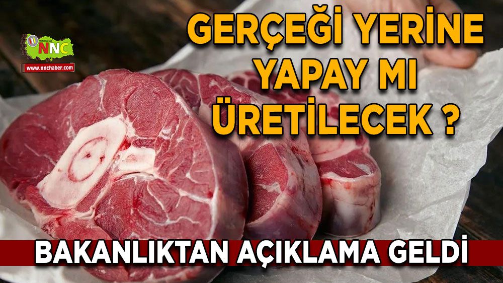 Türkiye'de yapay et üretimi var mı? Yapay et üretimiyle ilgili bakanlıktan açıklama