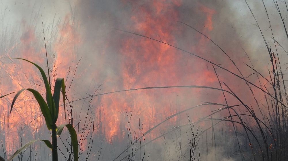 Antalya'da kargılık alanda çıkan yangın alevlerin boyutu yükseliyor 