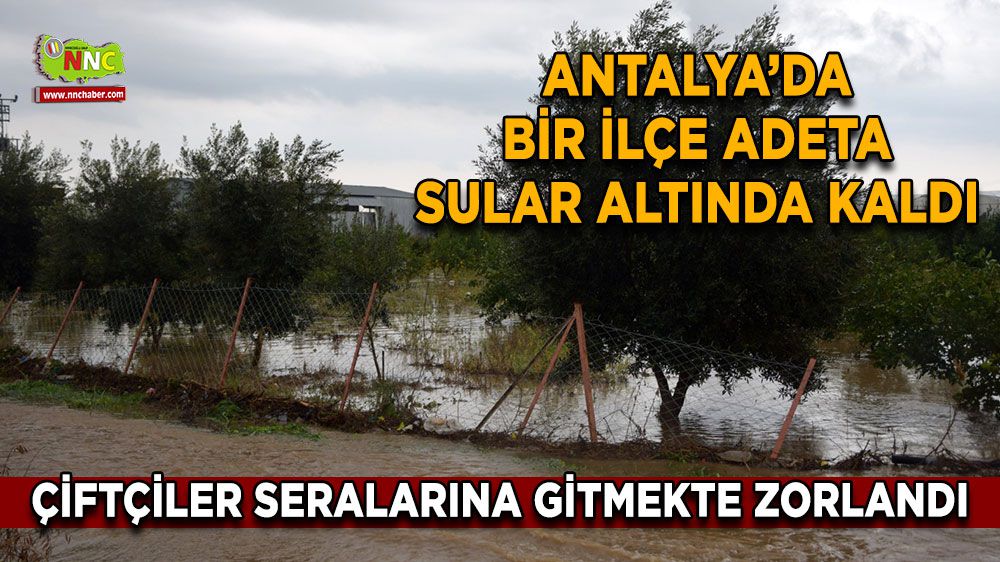 Antalya'da yağmur felakete dönüştü! Seralar, tarım arazileri sular altında! Çiftçiler giremedi