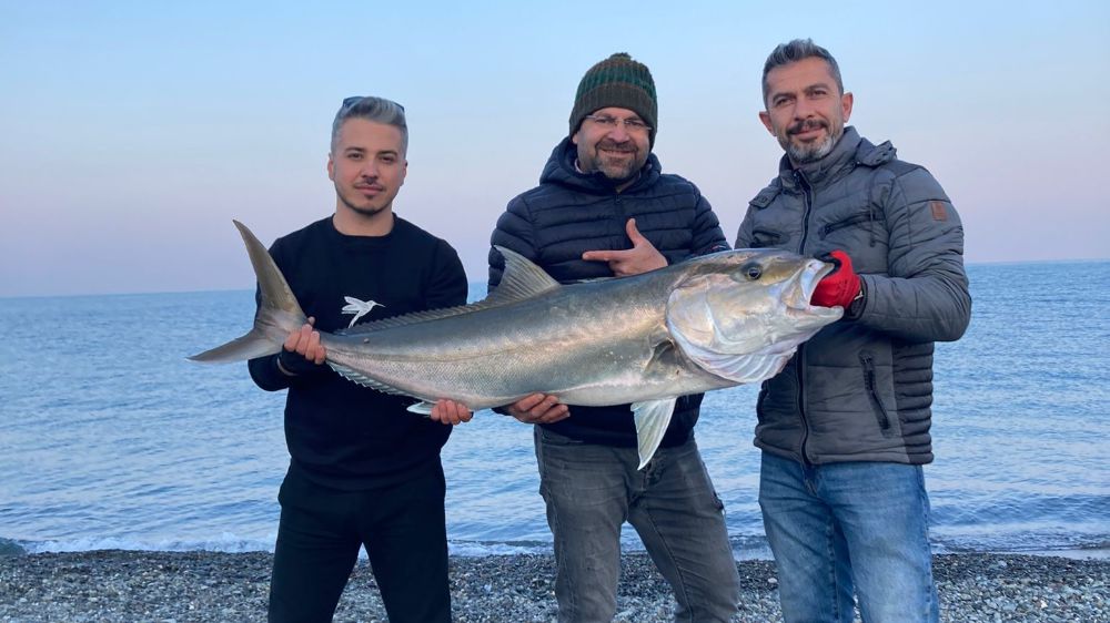 Arsuz'da Mucize Balık: 18 Kilo Sarı Kuyruk Kıyıya Çıktı!