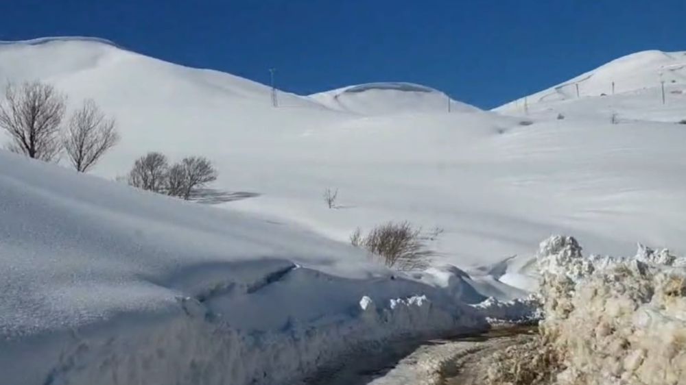 Bingöl'de kar nedeniyle kapanan yollar ulaşıma açılmaya başlandı