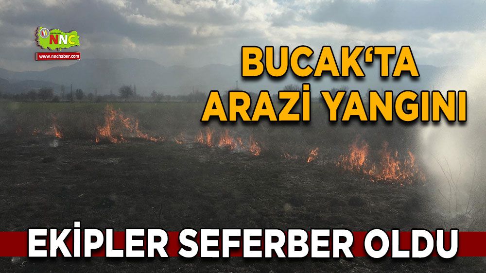 Bucak Karapınar Köyü arazi yangını