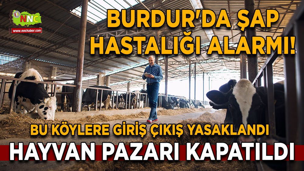 Burdur'da Şap Hastalığı Tehlikesi! Burdur Hayvan pazarı kapatıldı