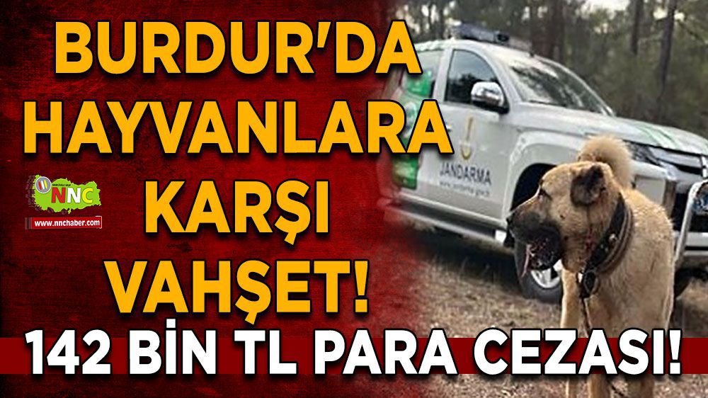 Burdur Haber - Burdur 'da hayvanlara karşı vahşet! 142 bin TL para cezası